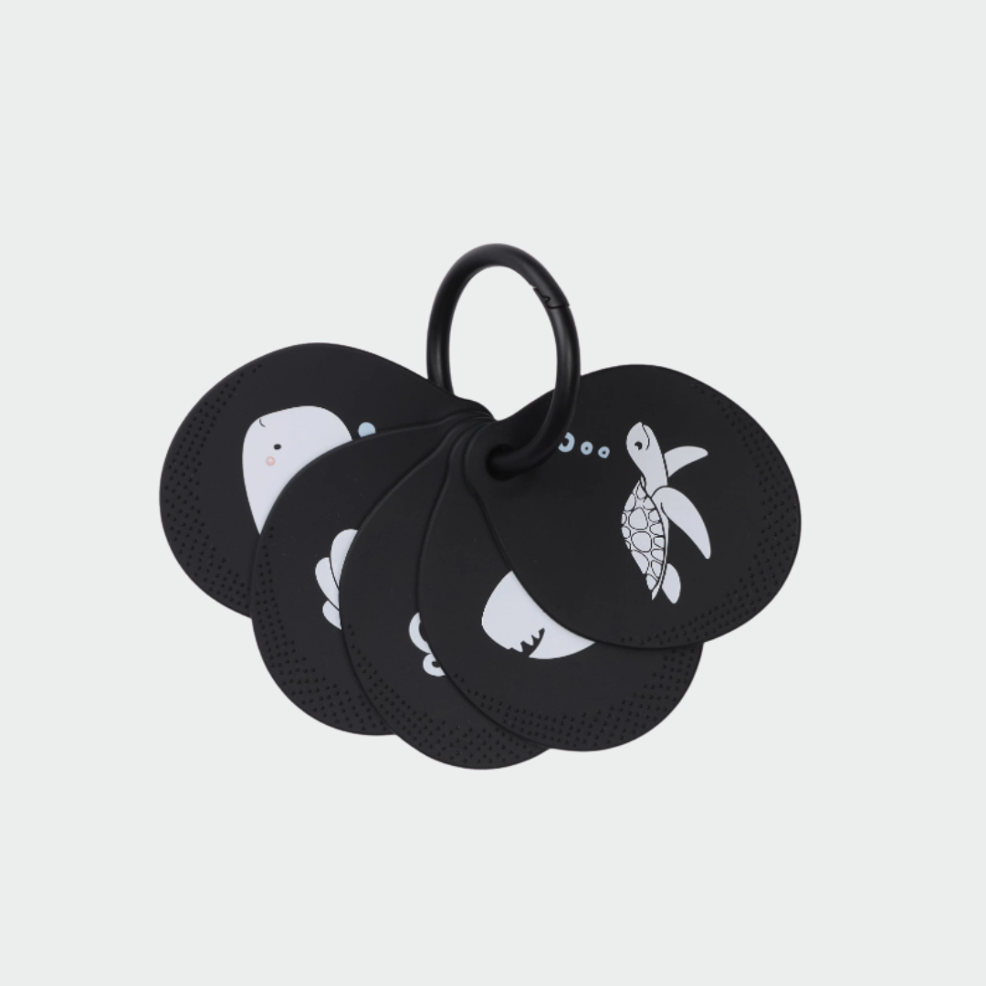 The Newborn Discovery Set