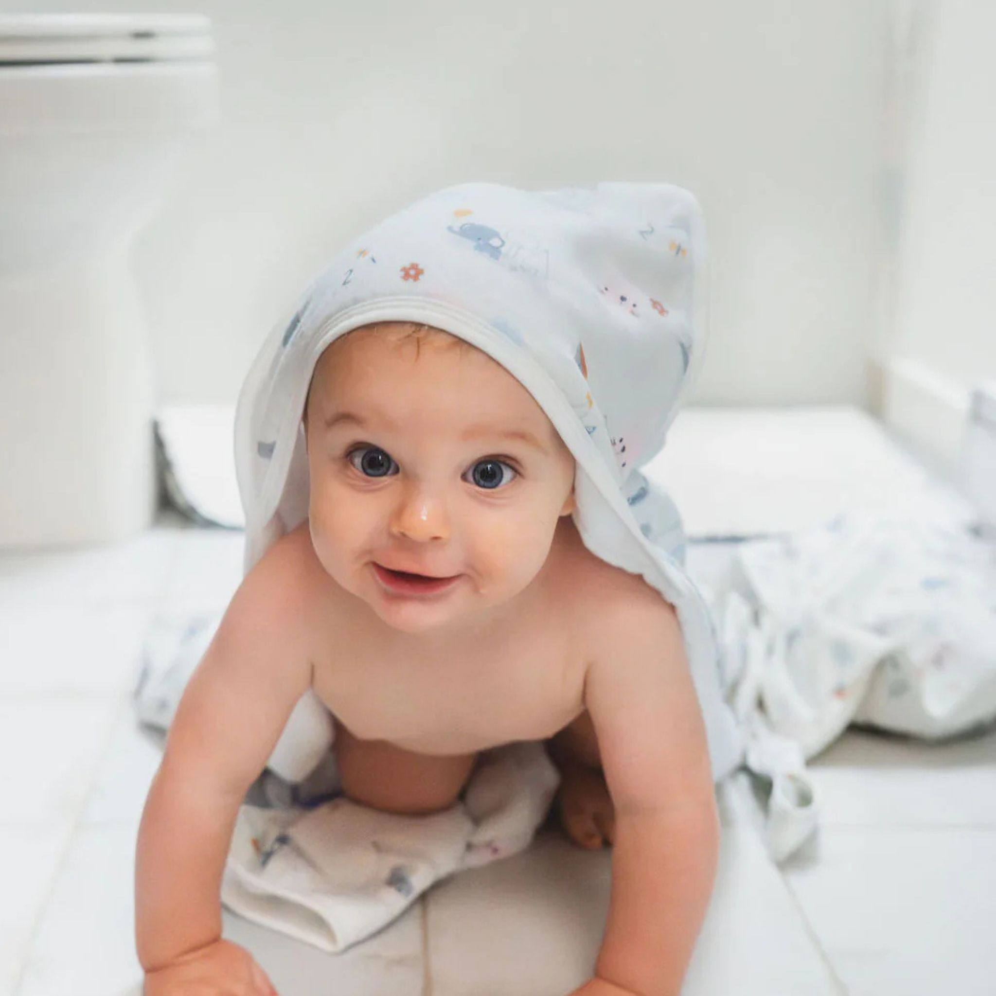 The Newborn Discovery Set